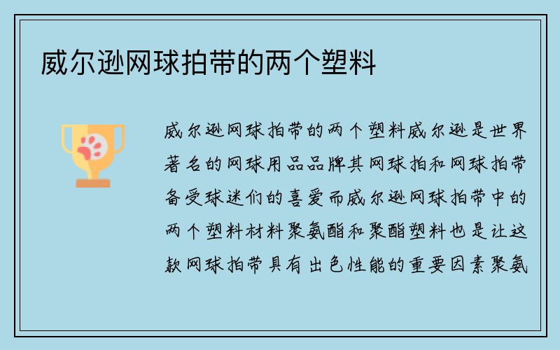 威尔逊网球拍带的两个塑料