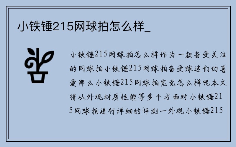 小铁锤215网球拍怎么样_