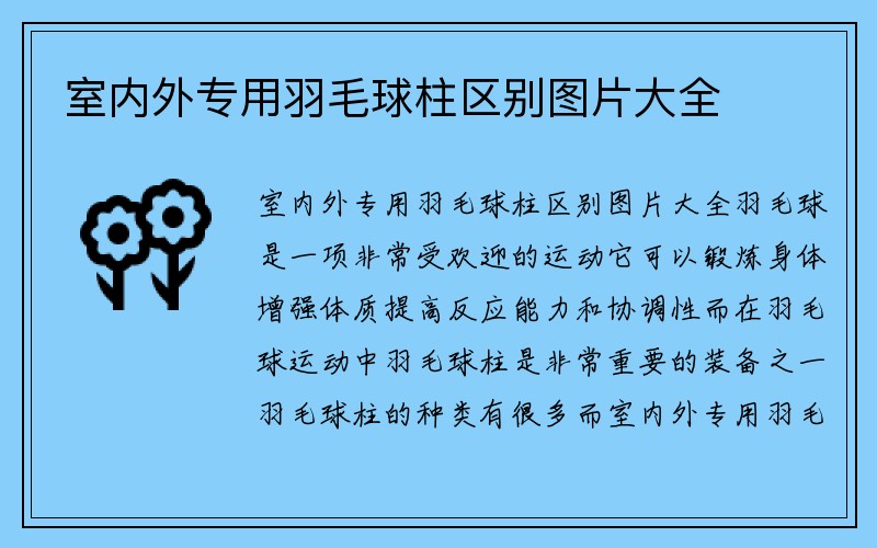 室内外专用羽毛球柱区别图片大全