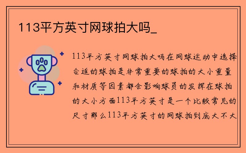 113平方英寸网球拍大吗_