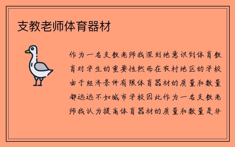 支教老师体育器材