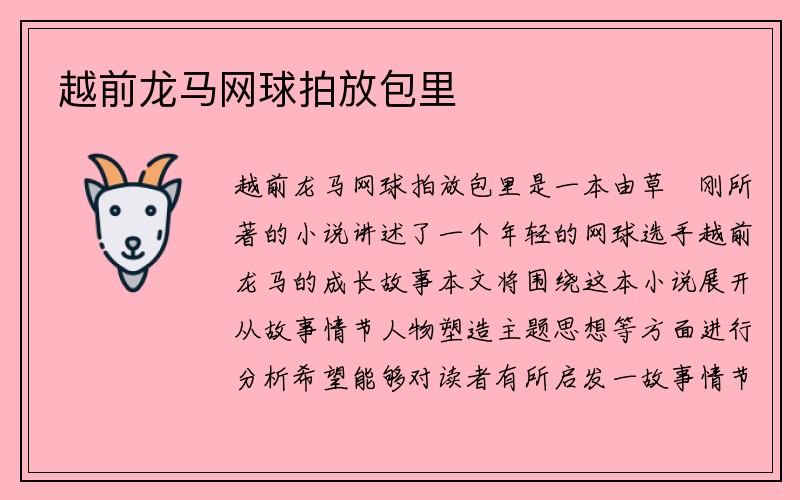 越前龙马网球拍放包里