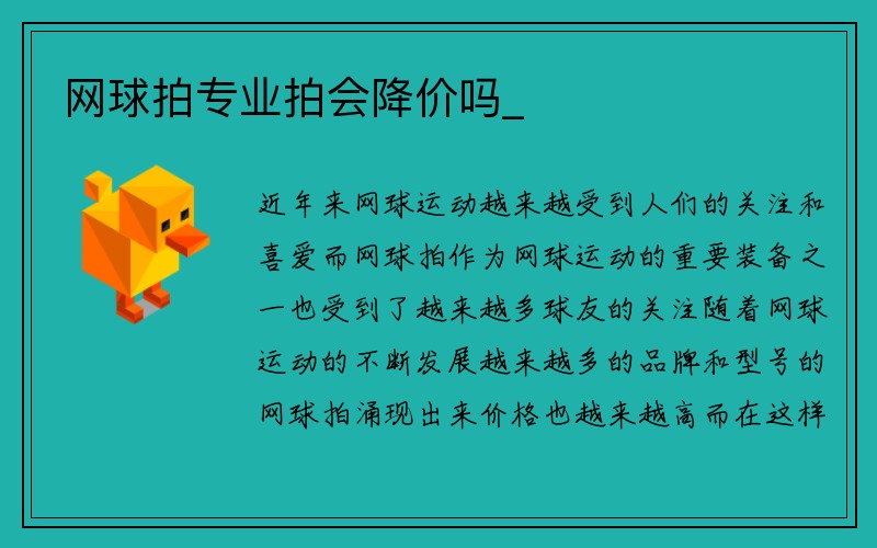 网球拍专业拍会降价吗_