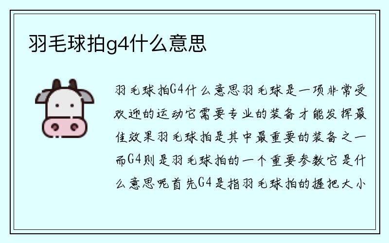 羽毛球拍g4什么意思