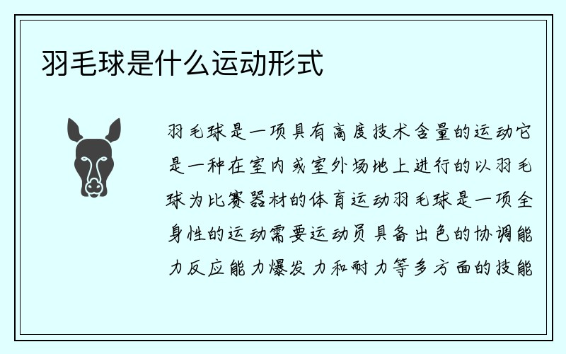 羽毛球是什么运动形式